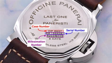 Panerai Serial Numbers Guide 